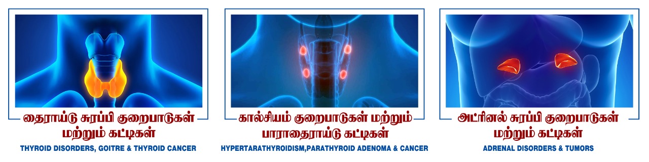 https://endocrinethyroidcarecentre.in/wp-content/uploads/2022/06/IMG-20210218-WA0010.jpg